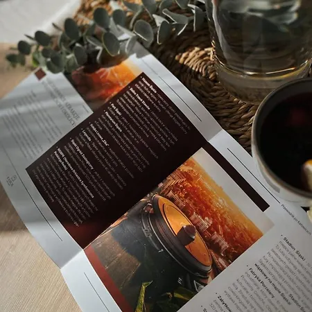 Kairos - Boston - Scisle Centrum, Spodek